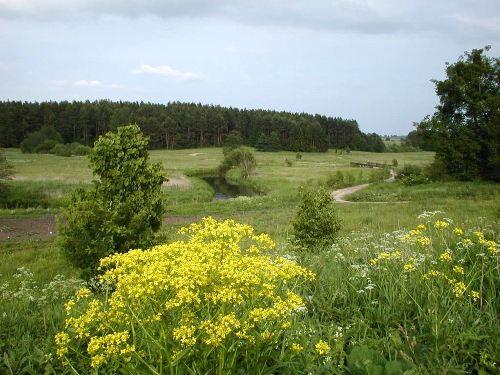 Palac Wojciechy Exteriör bild