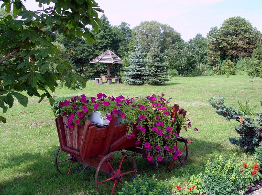 Palac Wojciechy Exteriör bild